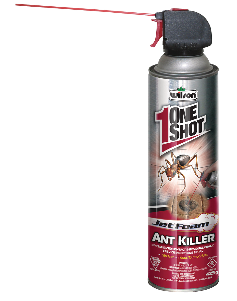 Wilson One Shot Indoor/Outdoor Jet Foam Ant Killer, Insecticide Aerosol