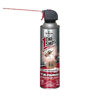 Insecticide en aérosol Wilson One Shot pour fourmis, intérieur/extérieur, jet moussant, 425 g Front_Flat