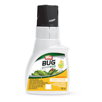 Insecticide concentré intérieur/extérieur Ortho Bug B Gon Eco, 500 mL Front_Flat