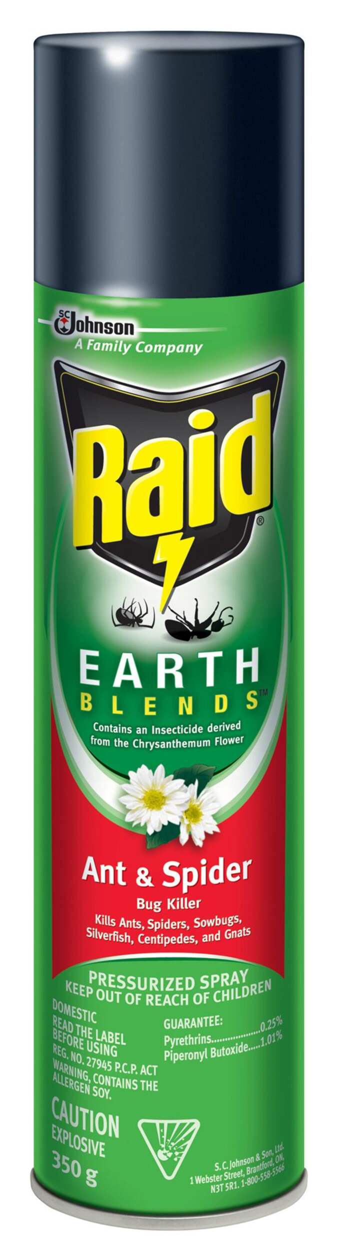 Raid Earthblends Ant and Spider Control Front_Flat