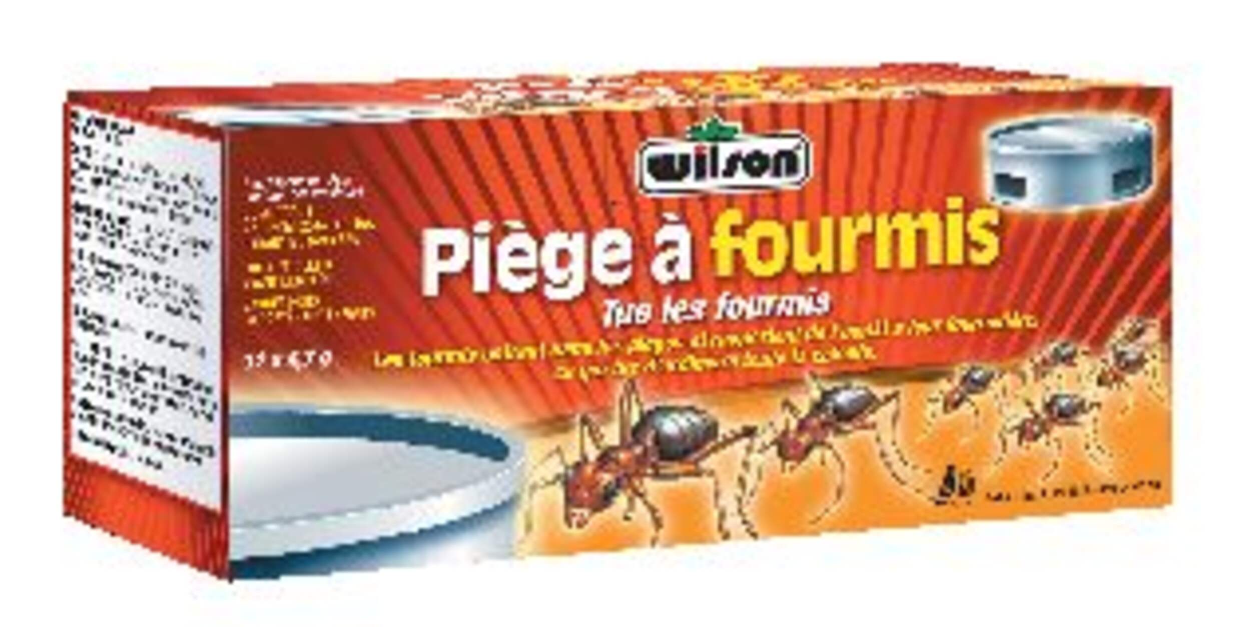 Pièges à fourmis Wilson, paq. 12 Front_Angled_Right