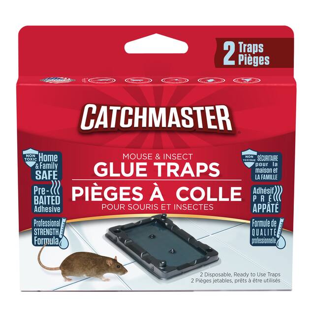 Catchmaster Rodent Glue Traps, 2-pk | Canadian Tire