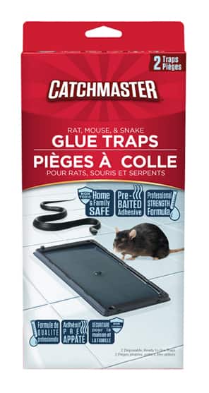 Pest Control Traps Rat Traps Glue Large and Small pests and mice 5 Packs 