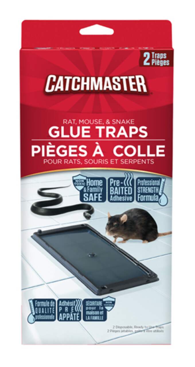 Pièges collants pour rat Catchmaster, paq. 2