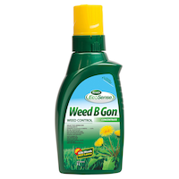 Herbicide concentré Weed B Gon à vaporiser, 1 L Front_Flat