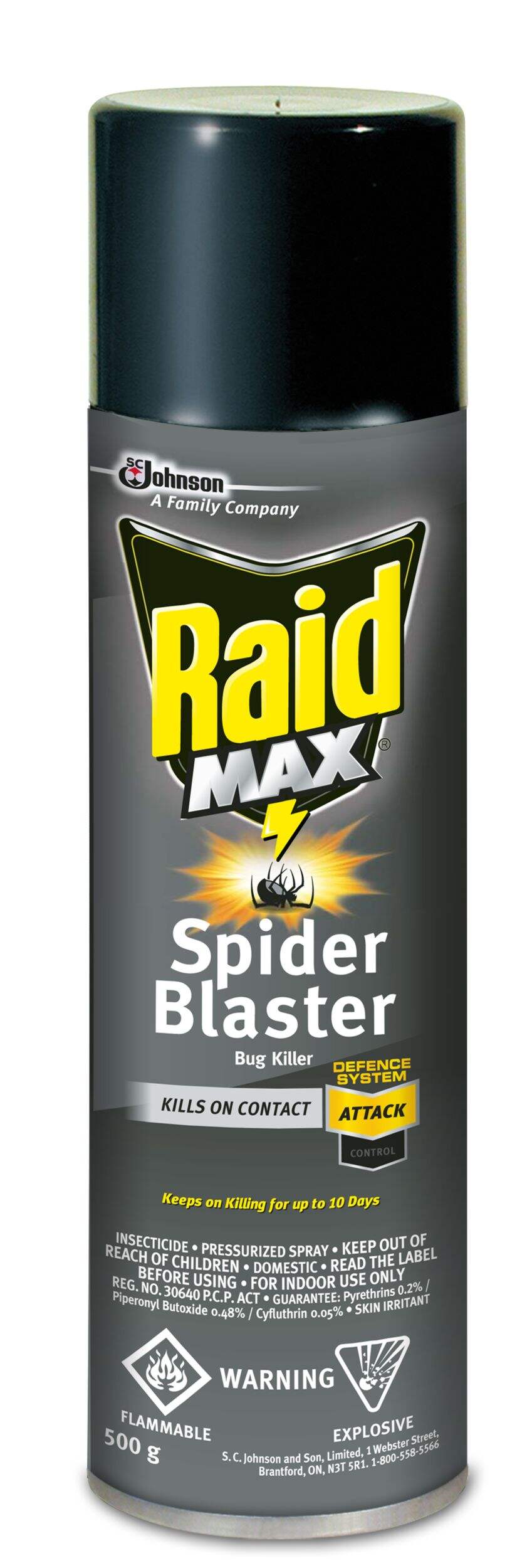 Raid MAX Spider Blaster Bug Killer, Insecticide, Aerosol Spray, 500-g Front_Flat