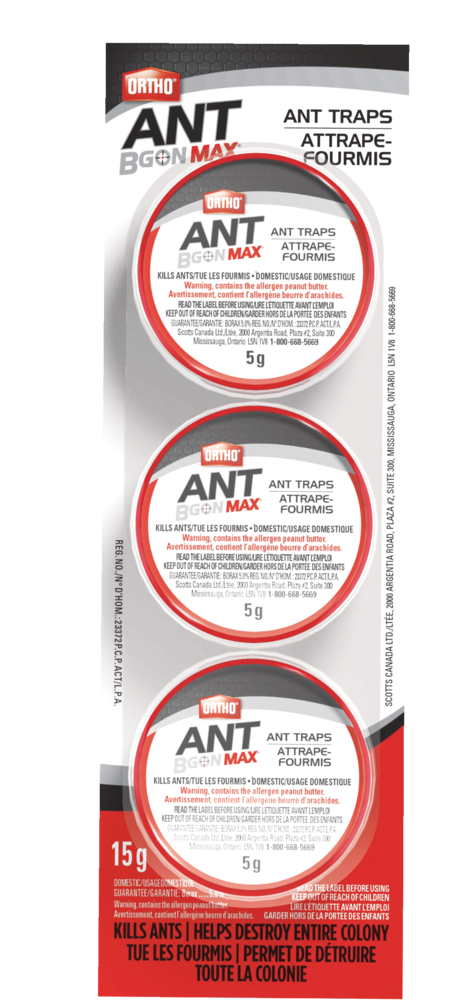 Raid® MAX Double Control Indoor Ant Baits, Ant Killer & Traps, 4-pk
