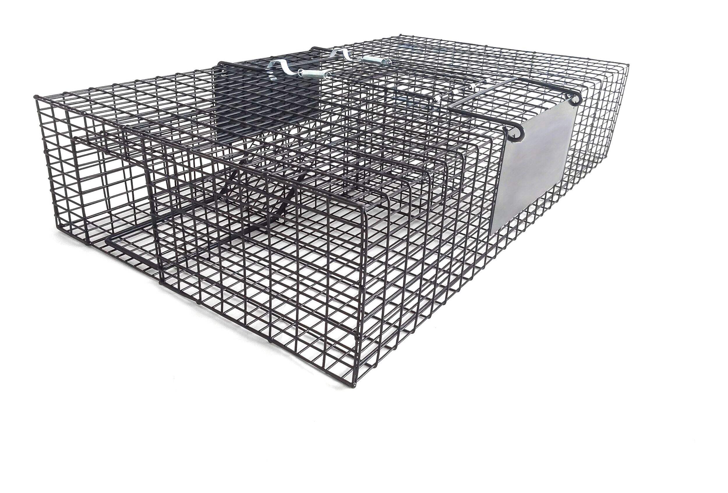 Multi-Rat Trap | Canadian Tire