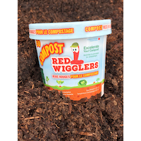 Compost Red Wiggler Live Composting Worms, 50 Count Bottom_Plunge