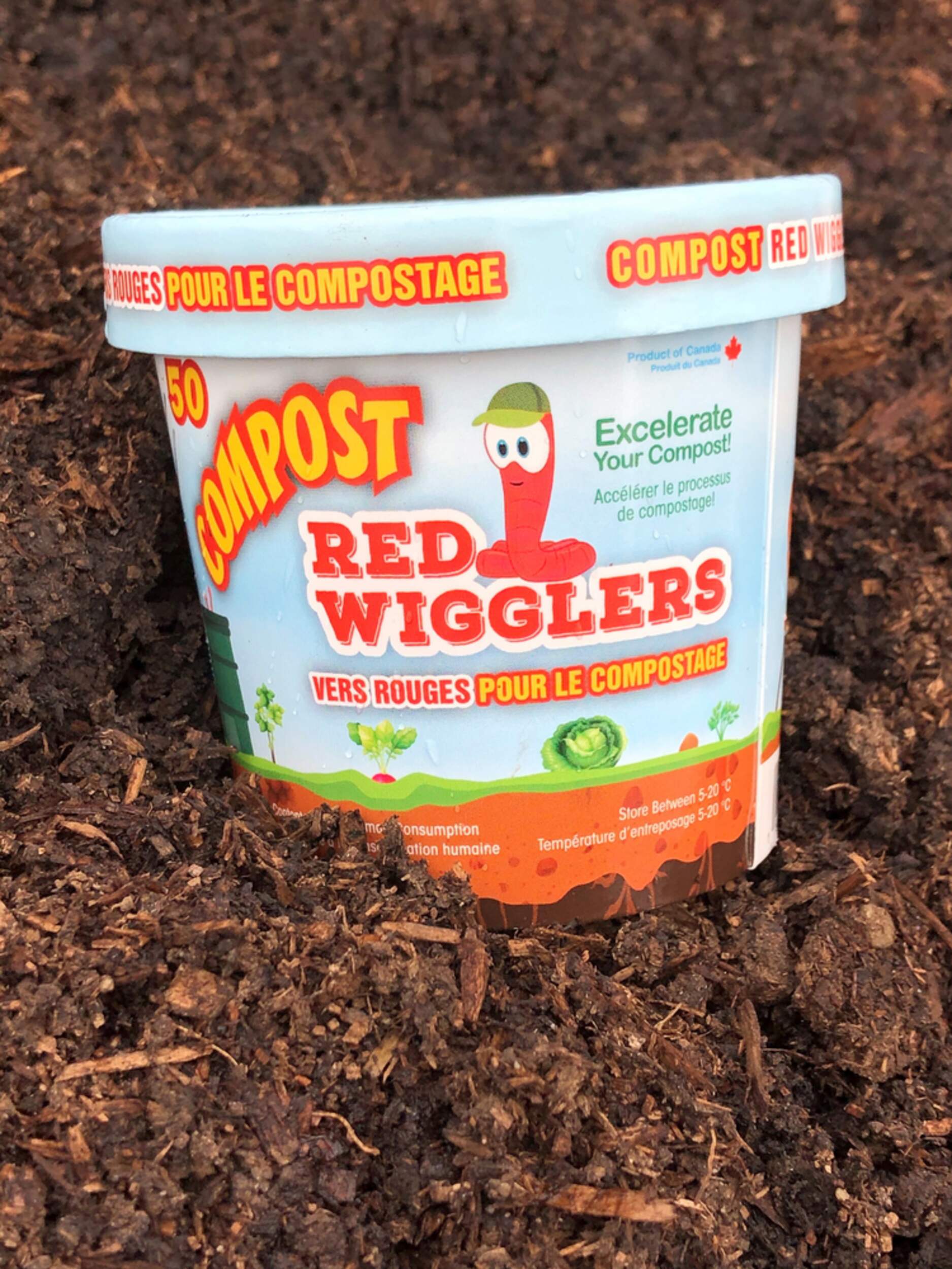 Compost Red Wiggler Live Composting Worms, 50 Count Bottom_Plunge