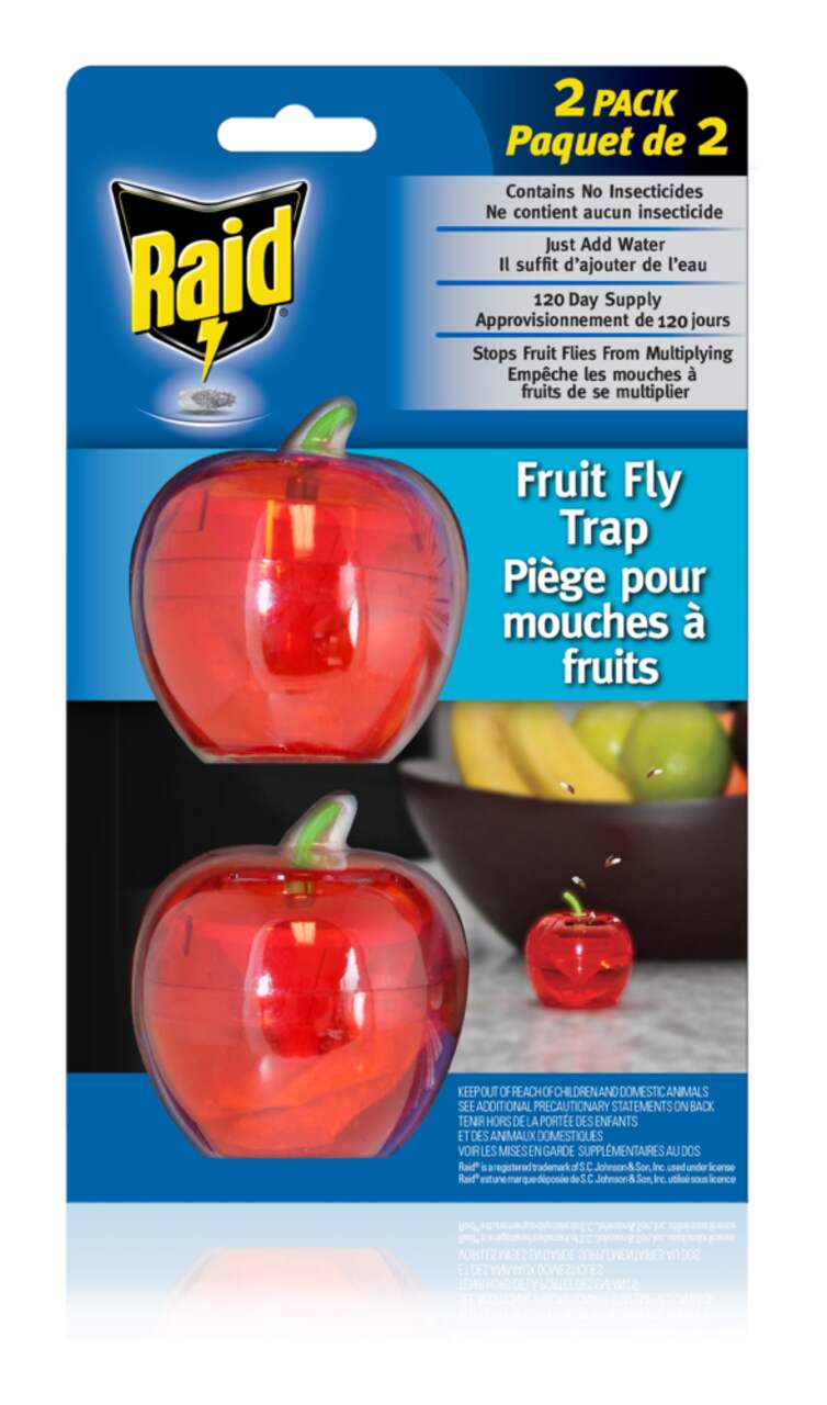 Raid® Indoor Fruit Fly Trap, with Food-Based Lure, 2-pk