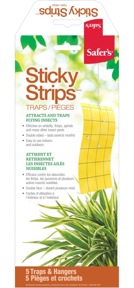 Pièges adhésifs à insectes Safer's Sticky Strips