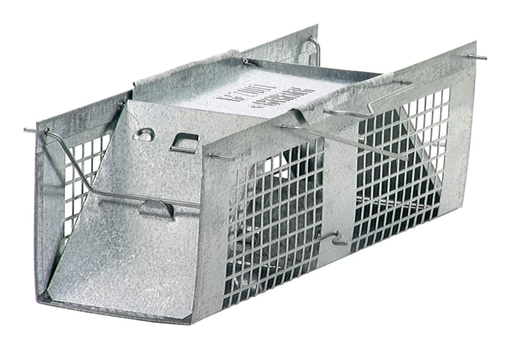 https://media-www.canadiantire.ca/product/seasonal-gardening/gardening/weed-insect-rodent-control/1591059/havahart-mice-and-shrew-live-trap-8fac901d-6e25-4016-8bff-0e44ddaf9475.png