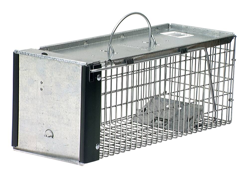LIVE TRAP RODENT PESTS SQUIRRELS CHIPMUNKS RATS GARDEN ATTIC BARN PET SAFE TRAPS 