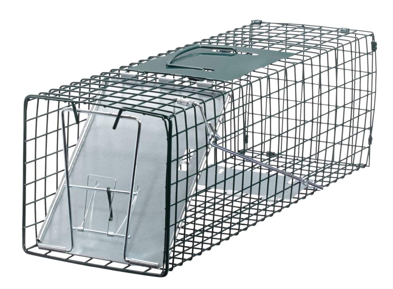 Cage à 1 porte pour lapin, moufette, et écureuil de Les Produits de  Contrôle SUPÉRIEURS