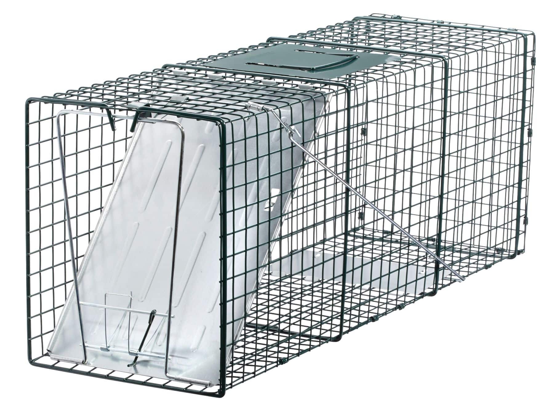 Pièges à cage d'animaux pour attraper et relâcher, paq. de 2
