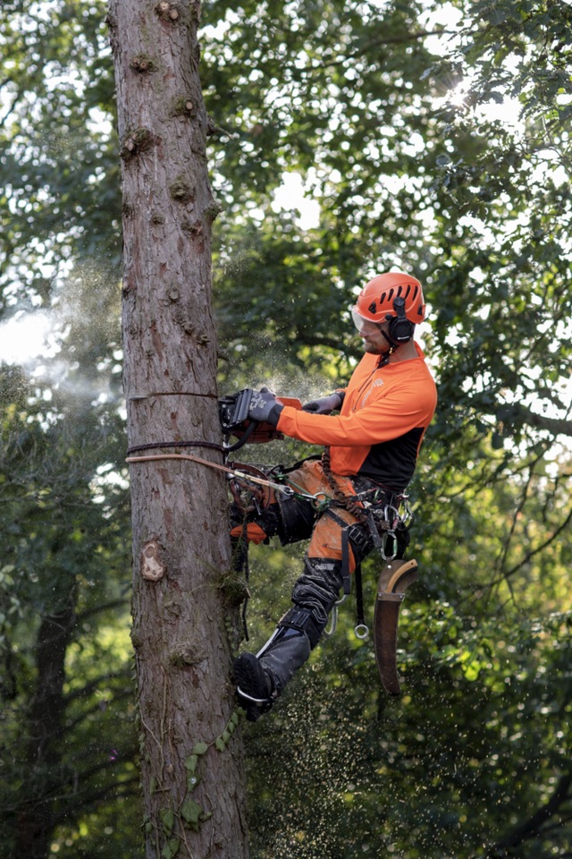 Husqvarna 545 Mark II 2Cycle Engine Gas Chainsaw, Orange, 20in