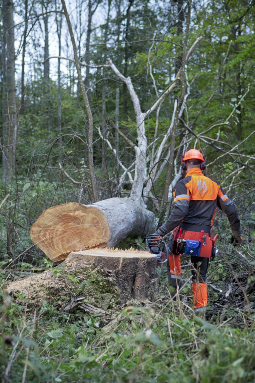 Husqvarna 20 inch 455 top rancher gas chainsaw