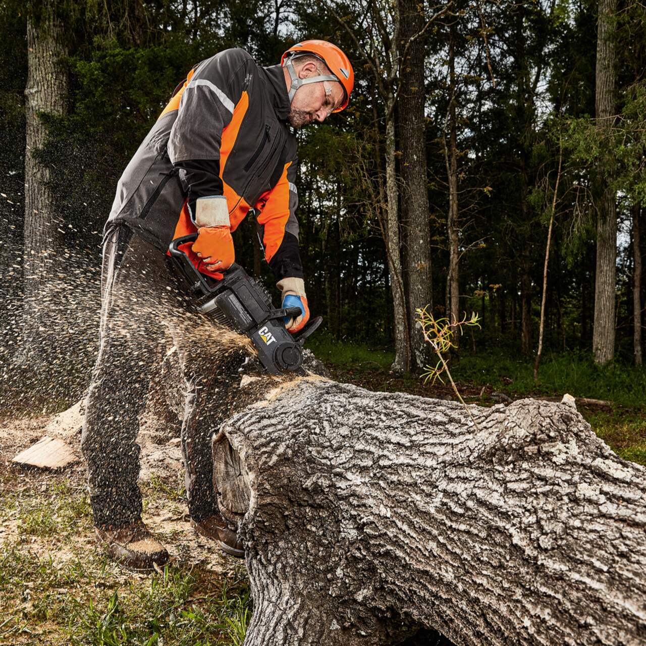 Dewalt chainsaw outlet canadian tire