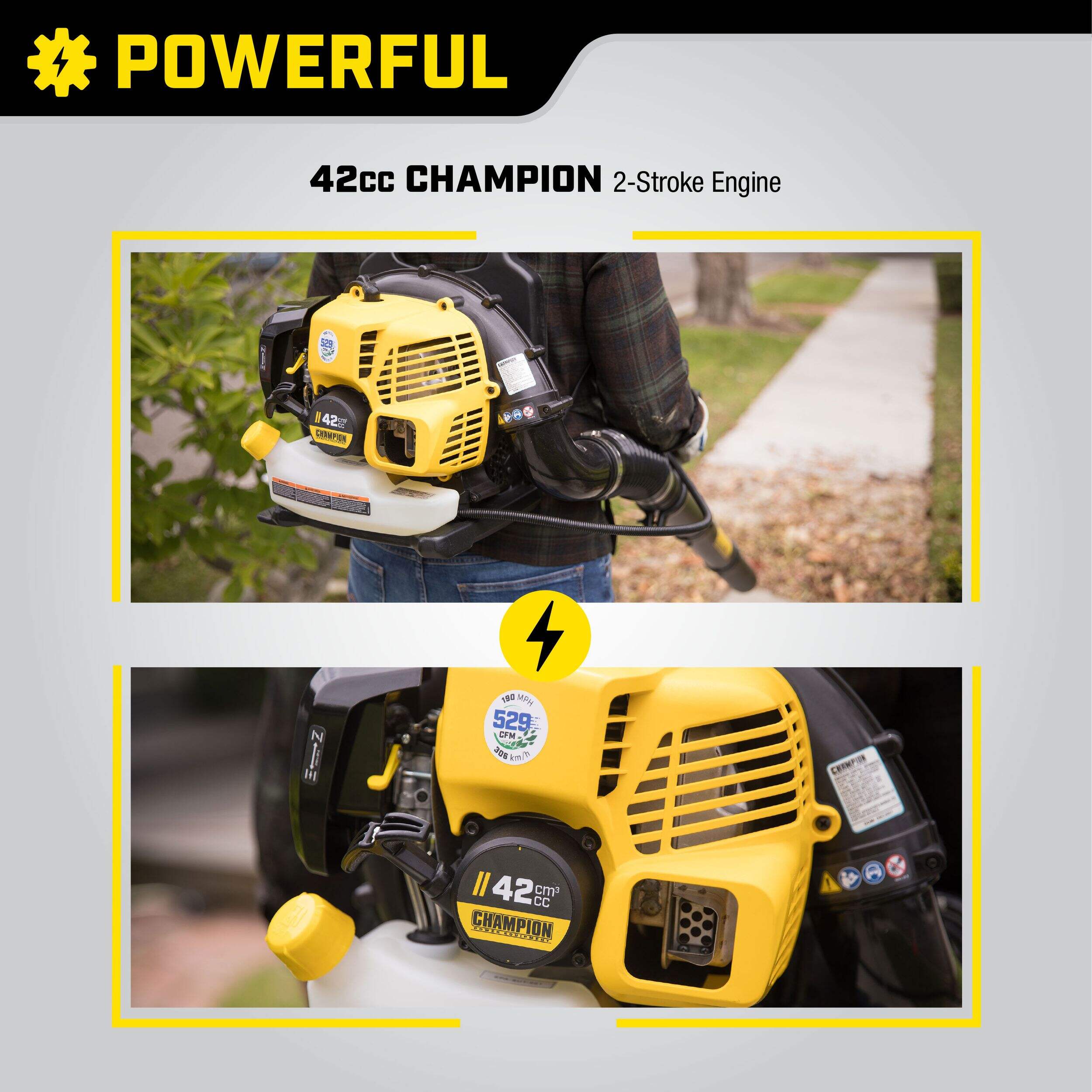 Champion Power Equipment 200934 42cc / 529CFM Backpack Leaf Blower with