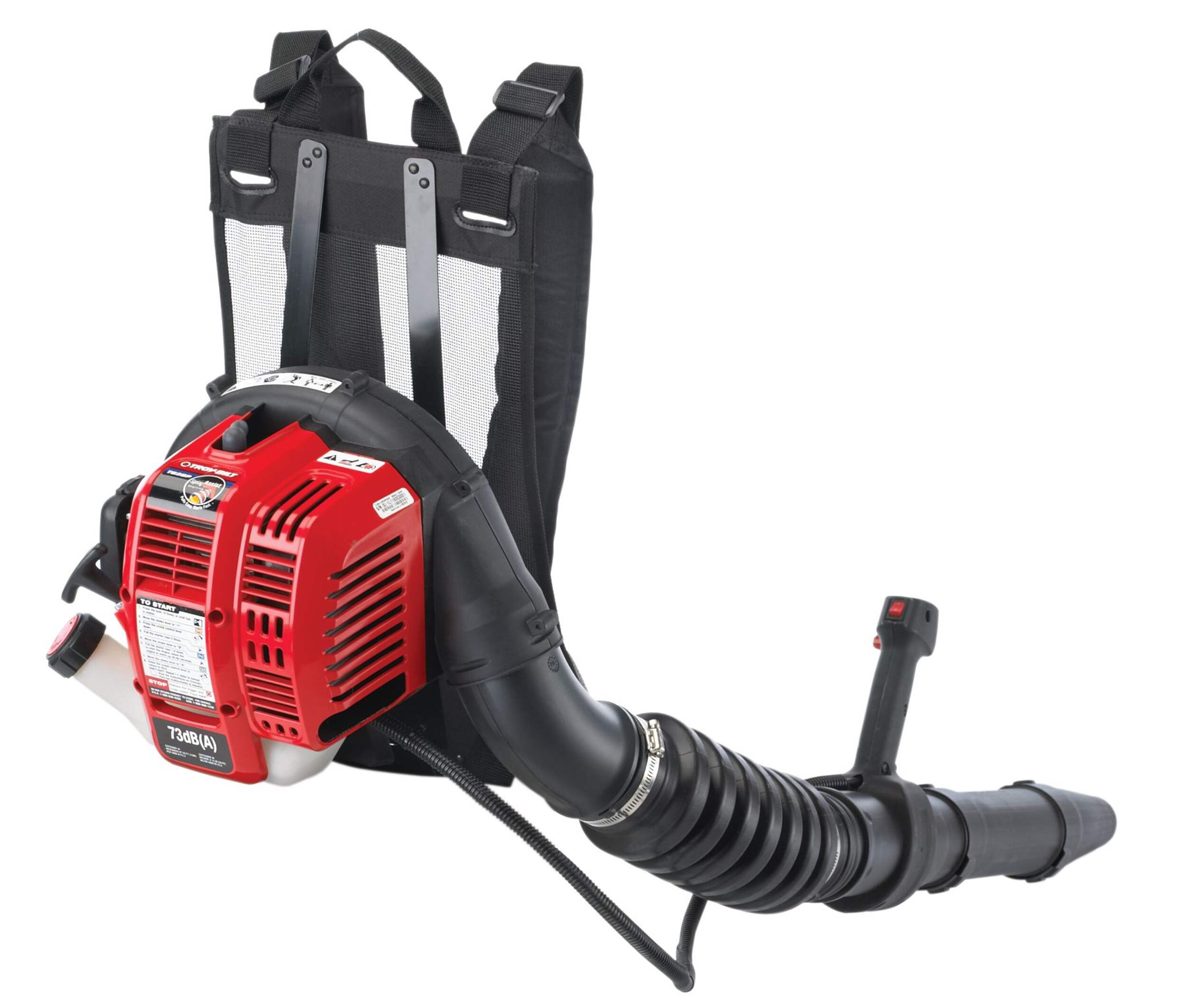 Troy-Bilt Backpack Leaf Blower, 25 cc Back_Angled_Right