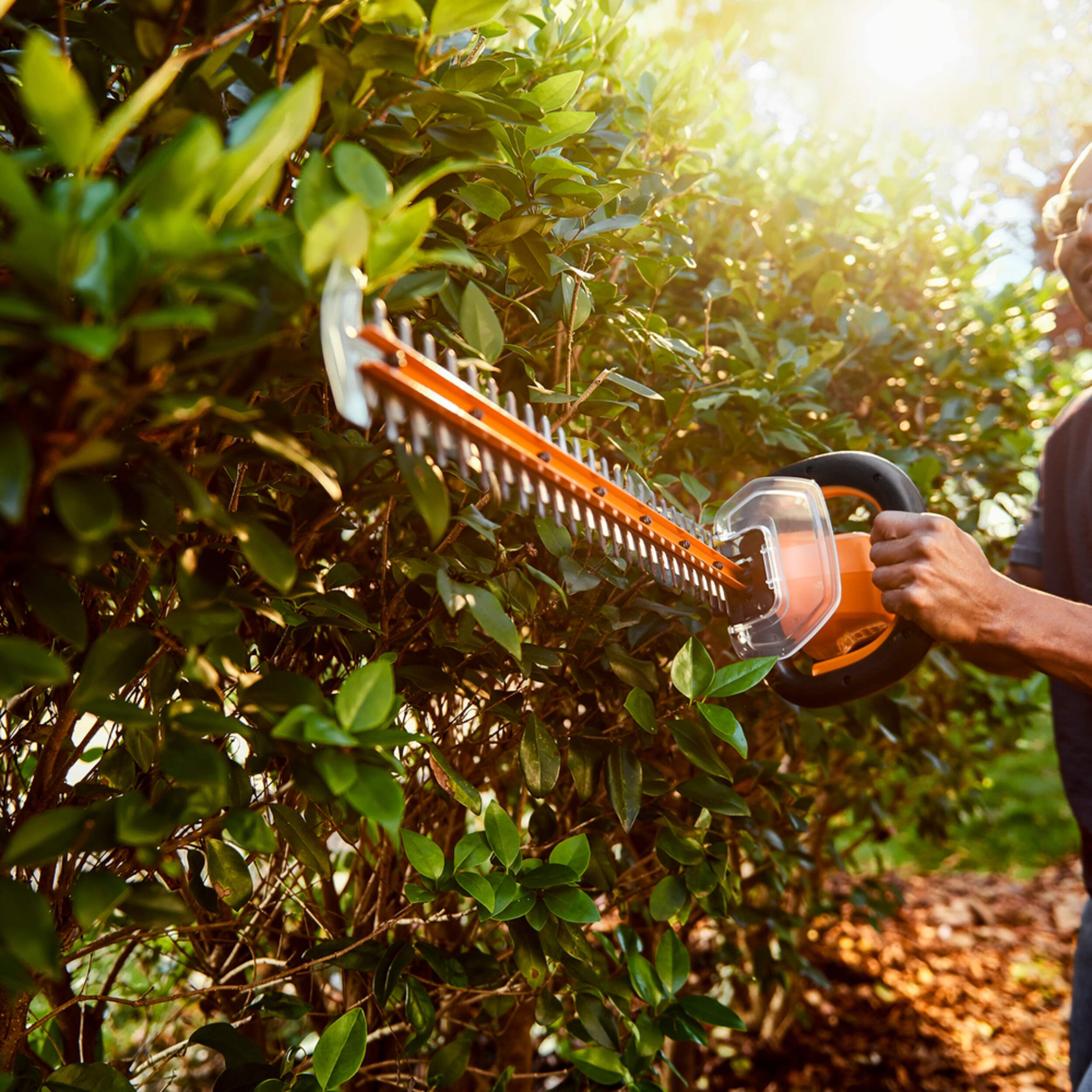 WORX WG284.9 40V Power Share™ Cordless Hedge Trimmer with Rotating
