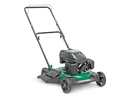 https://media-www.canadiantire.ca/product/seasonal-gardening/outdoor-tools/lawn-mowers-tractors/0600750/certified-150cc-2-in-1-mulch-sd-push-mower-21--d8cc536c-c7ec-4a78-83be-4d1028619714-jpgrendition.jpg?im=whresize&wid=268&hei=200