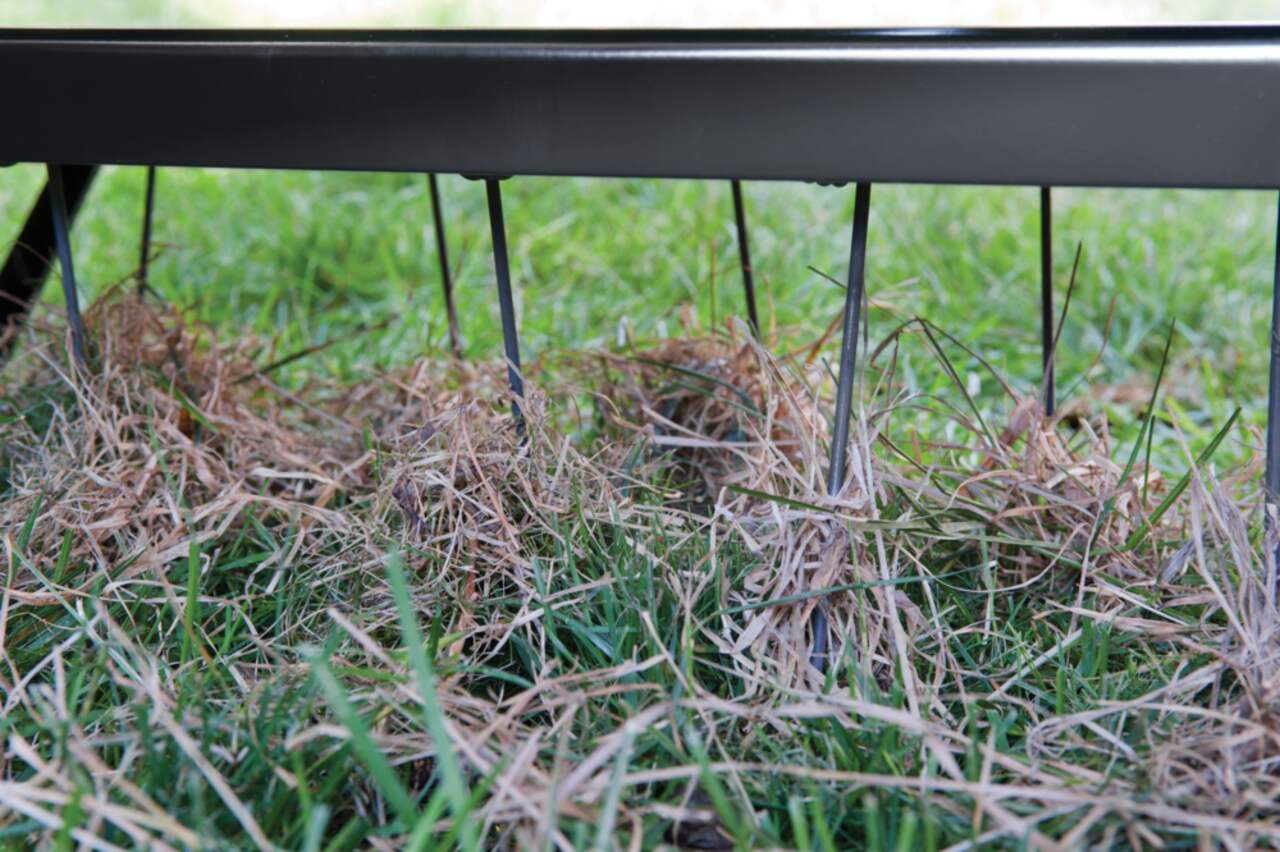 Canadian tire dethatching blade sales