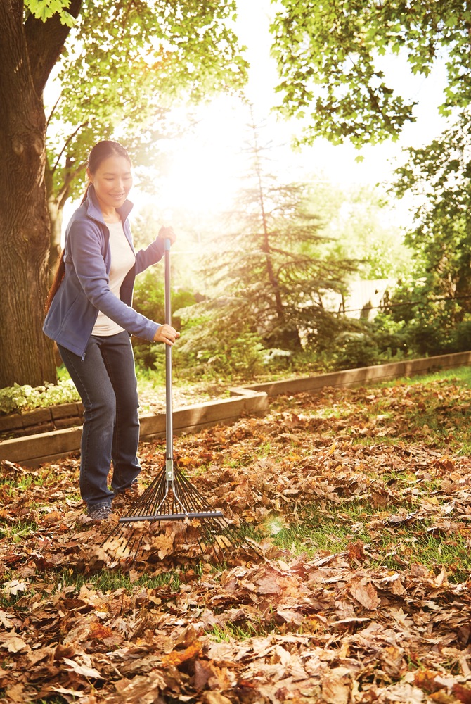 Yardworks 24in Wide Metal 24Tine Leaf Rake, Fibreglass Shaft