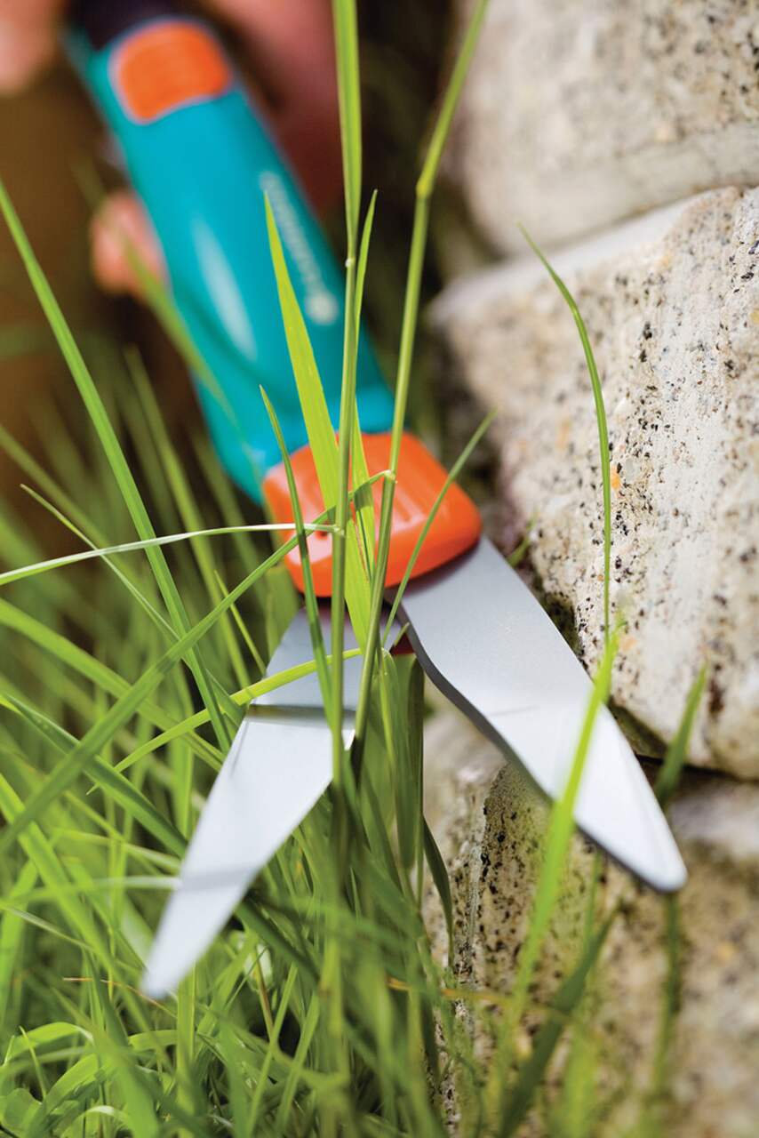Canadian tire grass on sale shears
