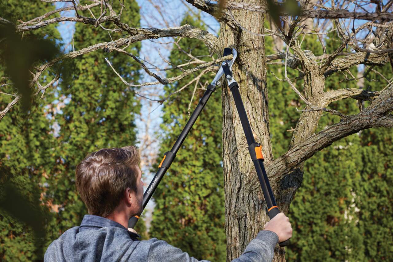 Fiskars loppers canadian sales tire