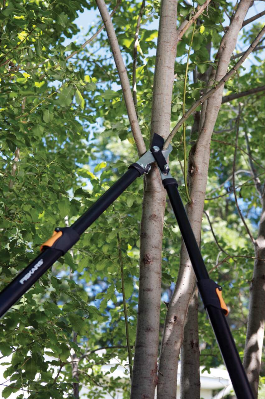 Fiskars telescopic outlet bypass tree pruner