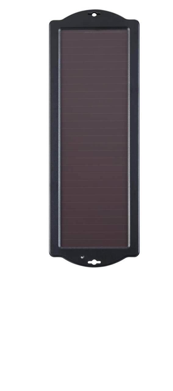 Chargeur d'entretien de batterie solaire de 5 W NOMA