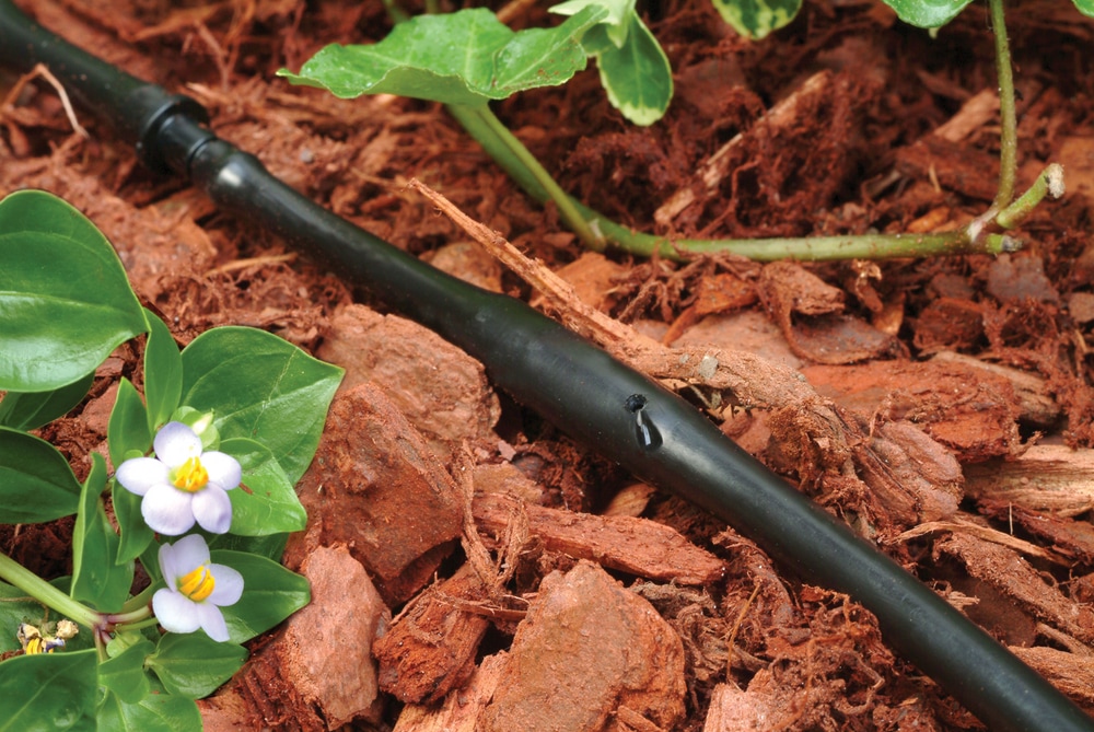 Rain Bird Drip Emitter Tubing, 1/4in x 50ft Canadian Tire