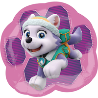 Paw Patrol Skye and Everest Balloon, 25-in Front_Flat