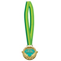 Pixel Party "Next Level Unlocked" Medal Lanyard, Green/Gold, One Size, Wearable Accessory for Birthdays Front_Flat