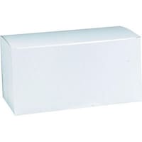Vase Gift Box, White, 12-in, for Birthday/Graduation/Wedding Front_Three_Fourths_Angled_Right