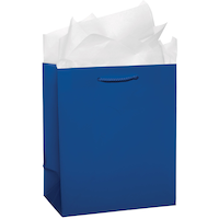 Paper Gift Bag, Assorted Colours, 9.5-in, for Birthday/Valentine's Day/Easter/Baby Shower Front_Angled_Right