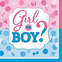 "Girl or Boy?" Square Paper Disposable Beverage Napkins, Blue/Pink, 5-in, 16-pk, 2-ply, for Gender Reveal