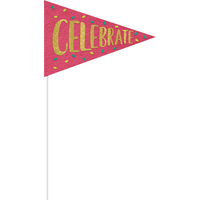 Sign of the Times Pennant Flags, 4-pc Front_Flat