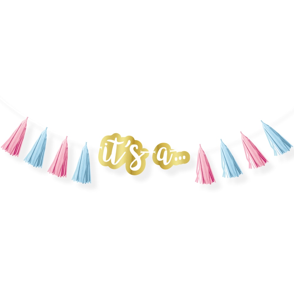 Gender Reveal Tassel Garland Party City