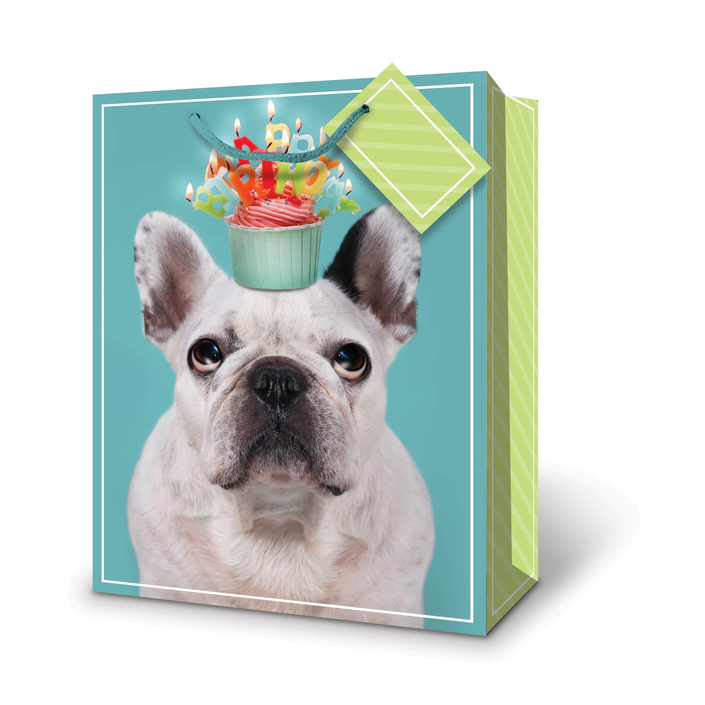 Jumbo Birthday Dog Gift Bag Party City