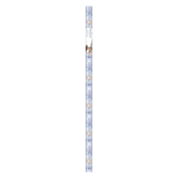 Disney Frozen Elsa & Anna Gift Wrapping Paper, Blue, 5-ft, for Birthday Party Front_Flat