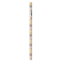 Papier-cadeau Pat'Patrouille, 30 po x 5 pi