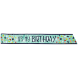 A Reason To Celebrate "It's My Birthday" Light-Up Sash, Blue, One Size, Wearable Accessory for Birthdays Front_Flat