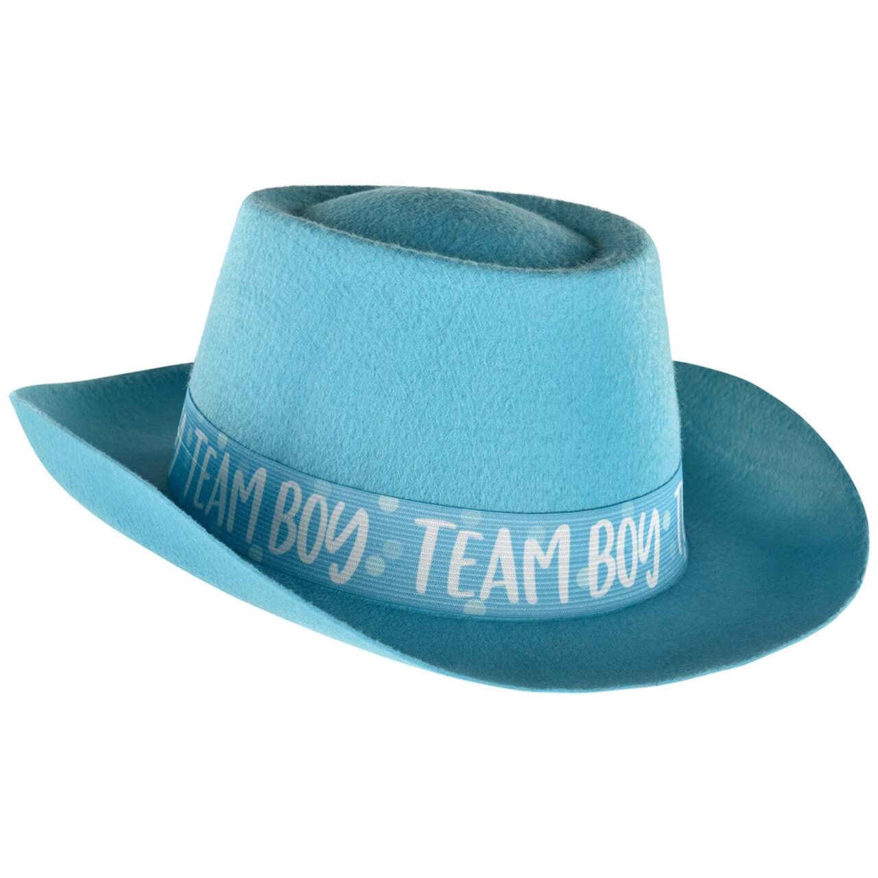 Baby blue best sale cowboy hat