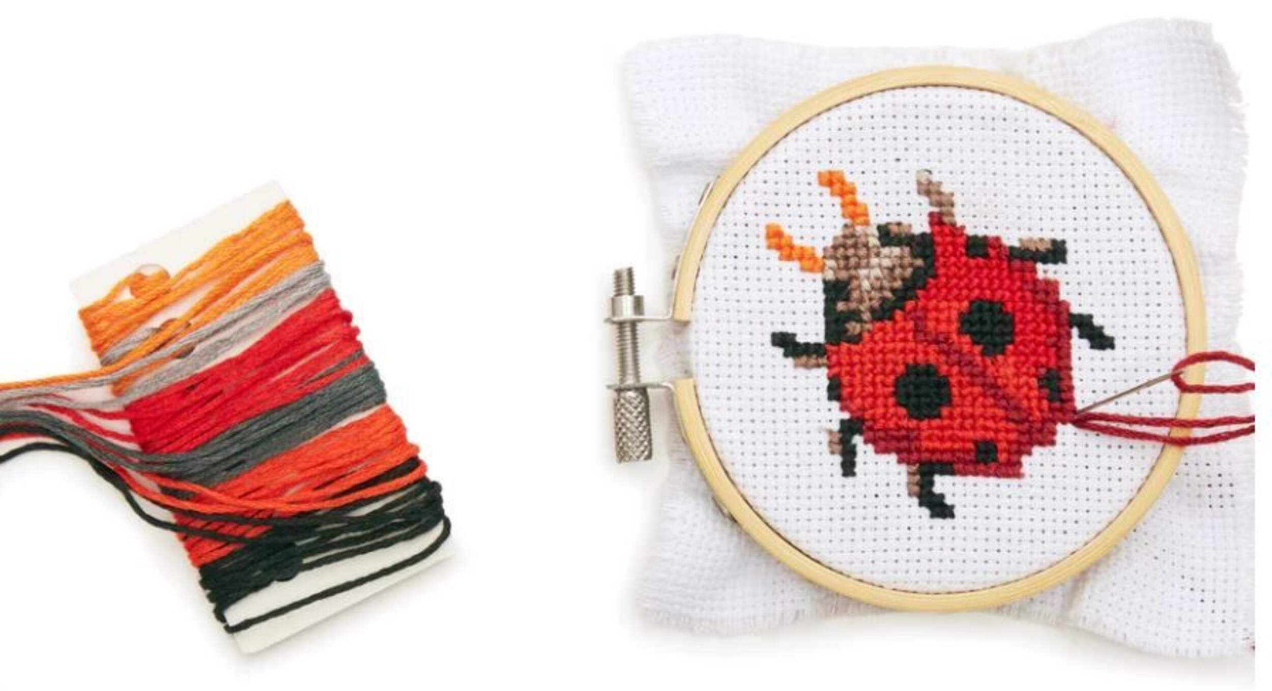 Mini trousse de broderie à point de croix, coccinelle, 10 ans et plus Overhead_Plunge