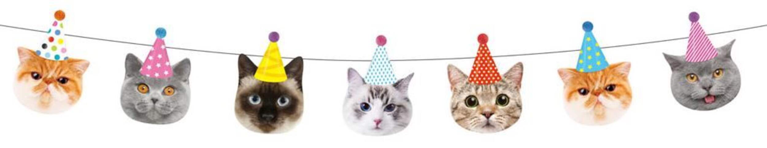 Cat Party Hanging Garland Banner Decoration, Multi-Coloured, 8-ft, for Birthday Party Front_Flat