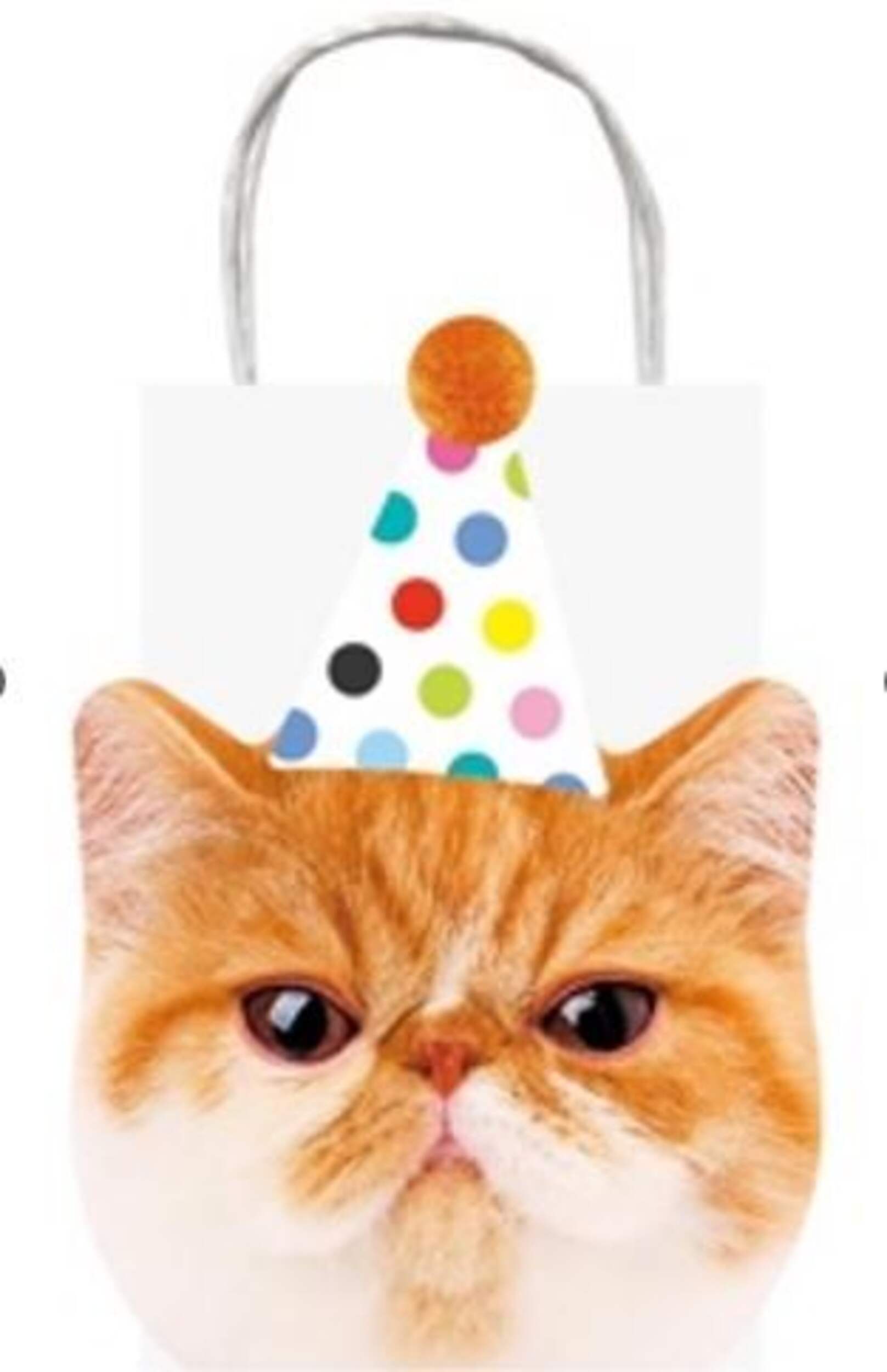 Sacs à friandises chats, paq. 4 Front_Flat