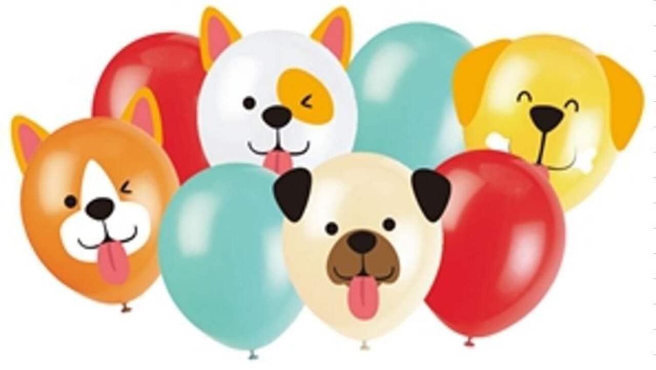 ballon chiffre d'anniversaire pour petit chien
